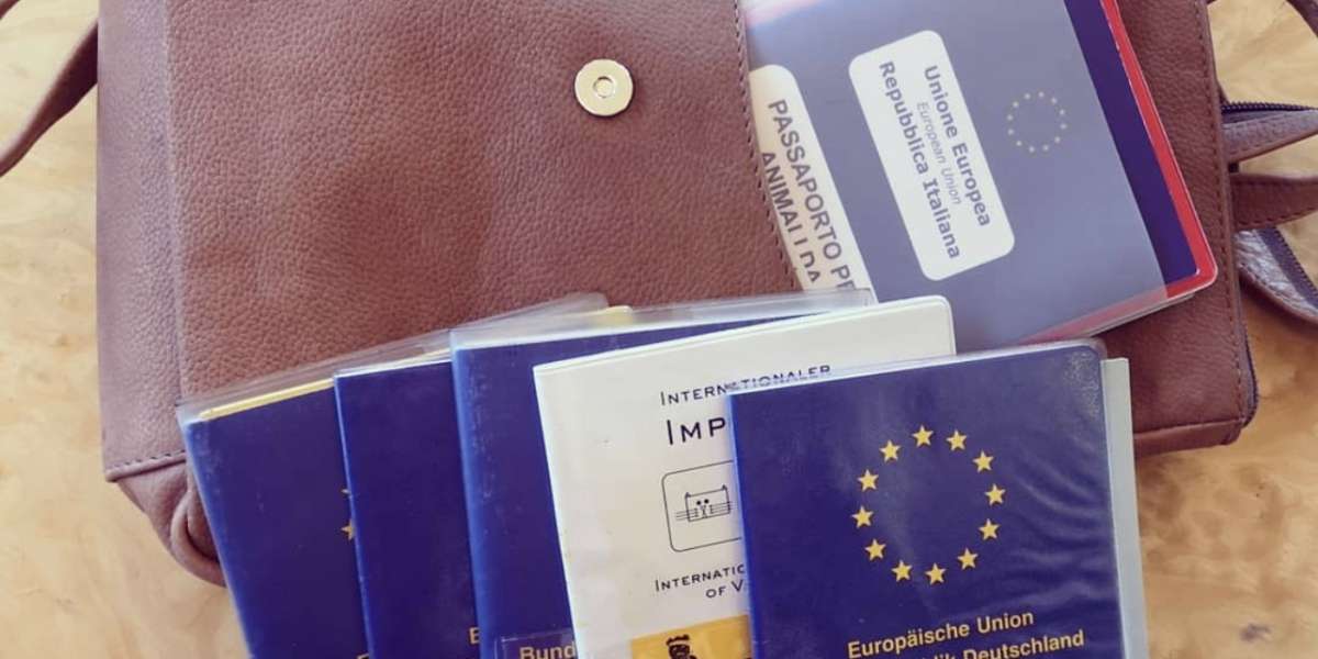 Buy Covid-19 Digital passport Certificate online in uk